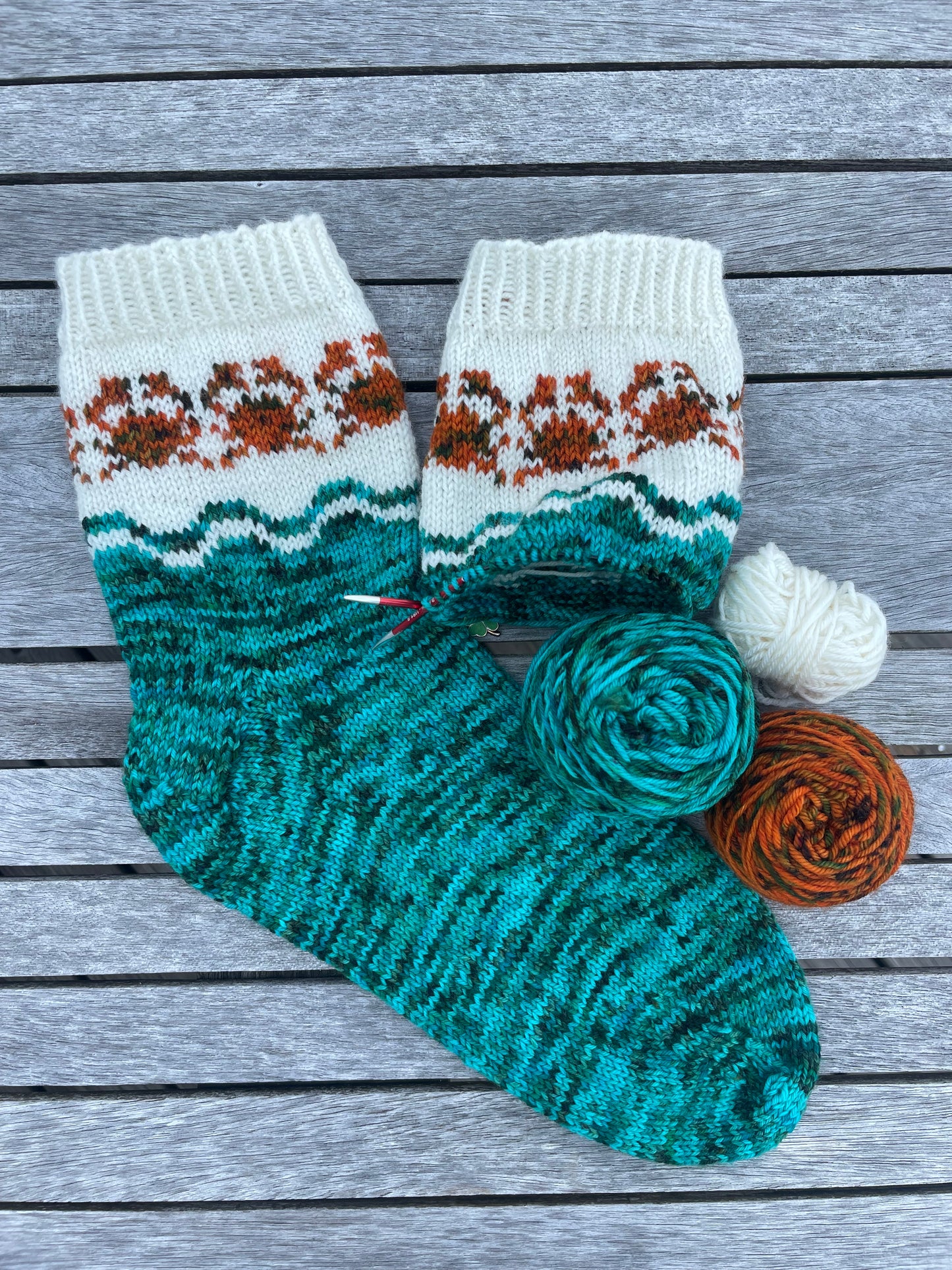 Kit chaussettes Homard