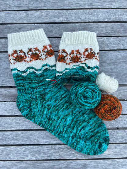 Kit chaussettes Homard