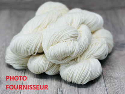 Pré commande - Aran Merino/Nylon 100g