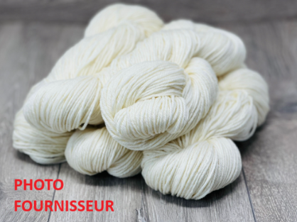 Pré commande - Aran Merino/Nylon 100g