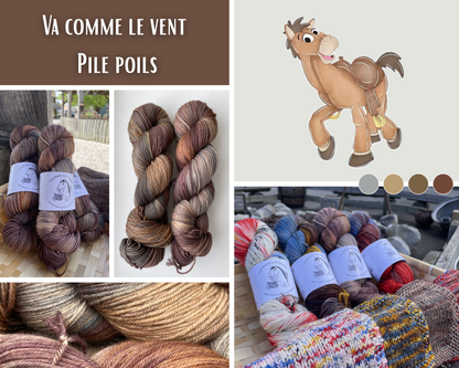 Pré commande - Sock fingering 100g