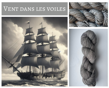 Pré commande - Sock fingering 100g