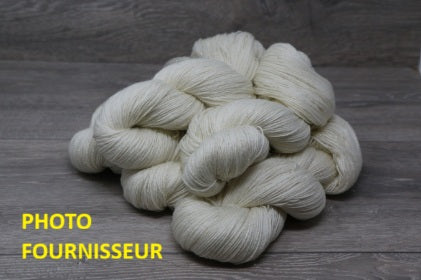 Pré commande - Sock Gold 100g