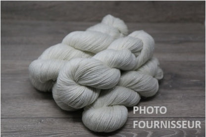 Pré commande - Sock Silver 100g