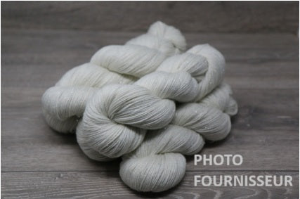 Pré commande - Sock Silver 100g