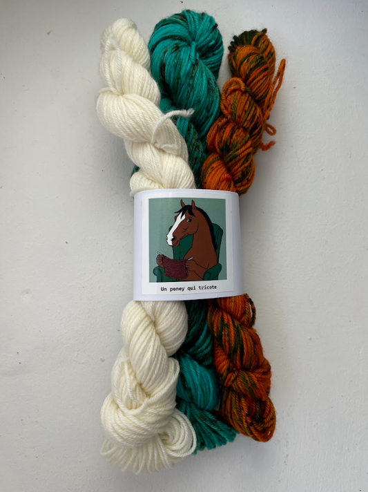 Kit chaussettes Homard