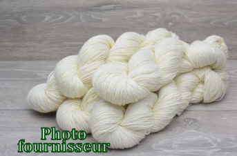 Pré commande - Sock fingering 100g